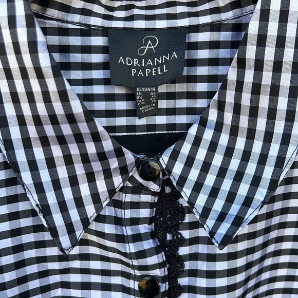 Adrianna Papell Gingham Taffeta Shirt Dress Size 14 Beetlejuice Rockabilly Pi… - Picture 3 of 5